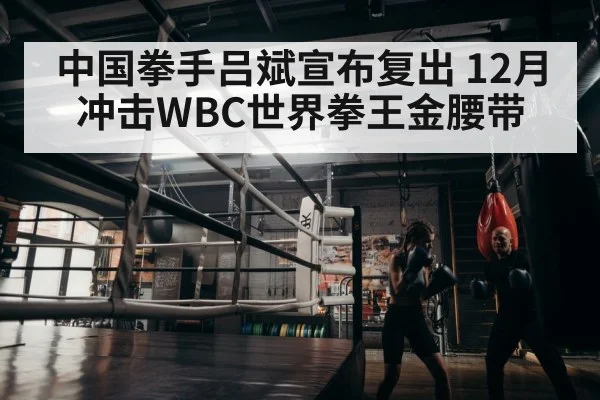 中国拳手吕斌宣布复出 12月冲击WBC世界拳王金腰带