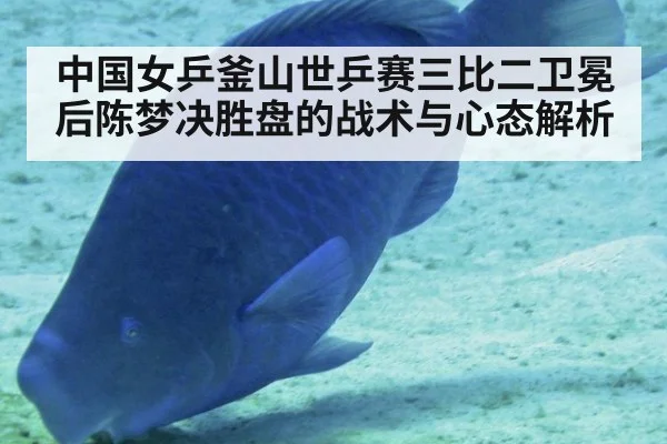 中国女乒釜山世乒赛三比二卫冕后陈梦决胜盘的战术与心态解析